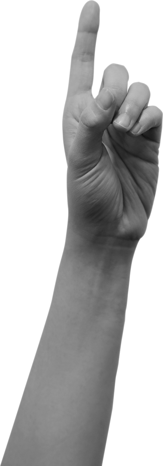 Human Hand Gesture