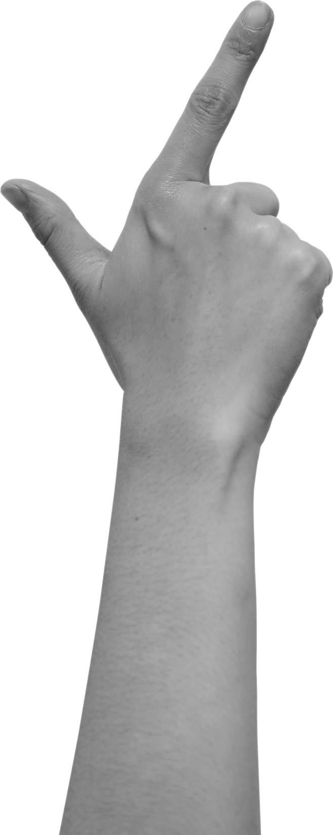 Human Hand Gesture